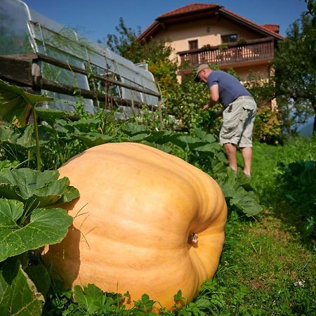 Tourist Farm Kolar Villa Ljubno ภายนอก รูปภาพ