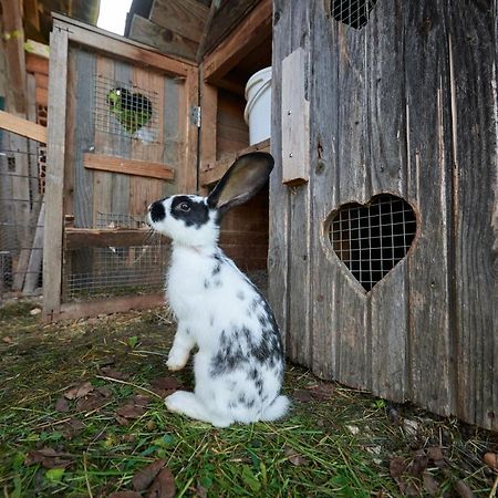 Tourist Farm Kolar Villa Ljubno ภายนอก รูปภาพ