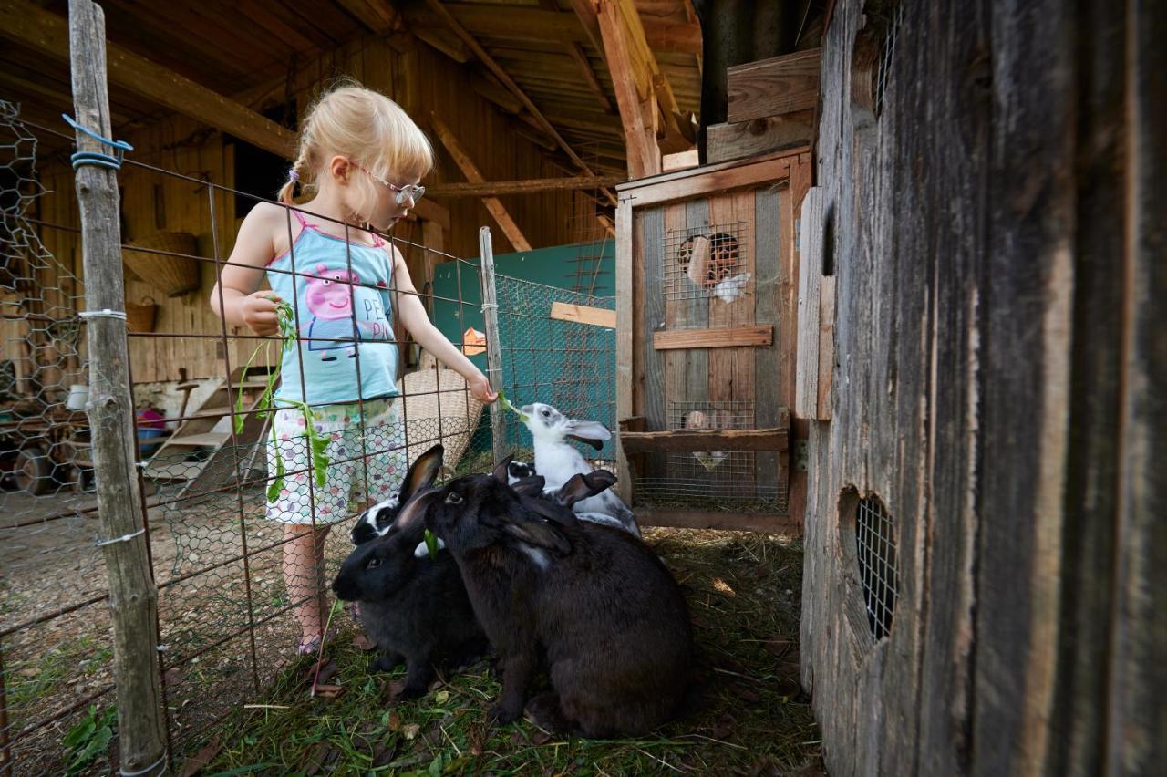 Tourist Farm Kolar Villa Ljubno ภายนอก รูปภาพ