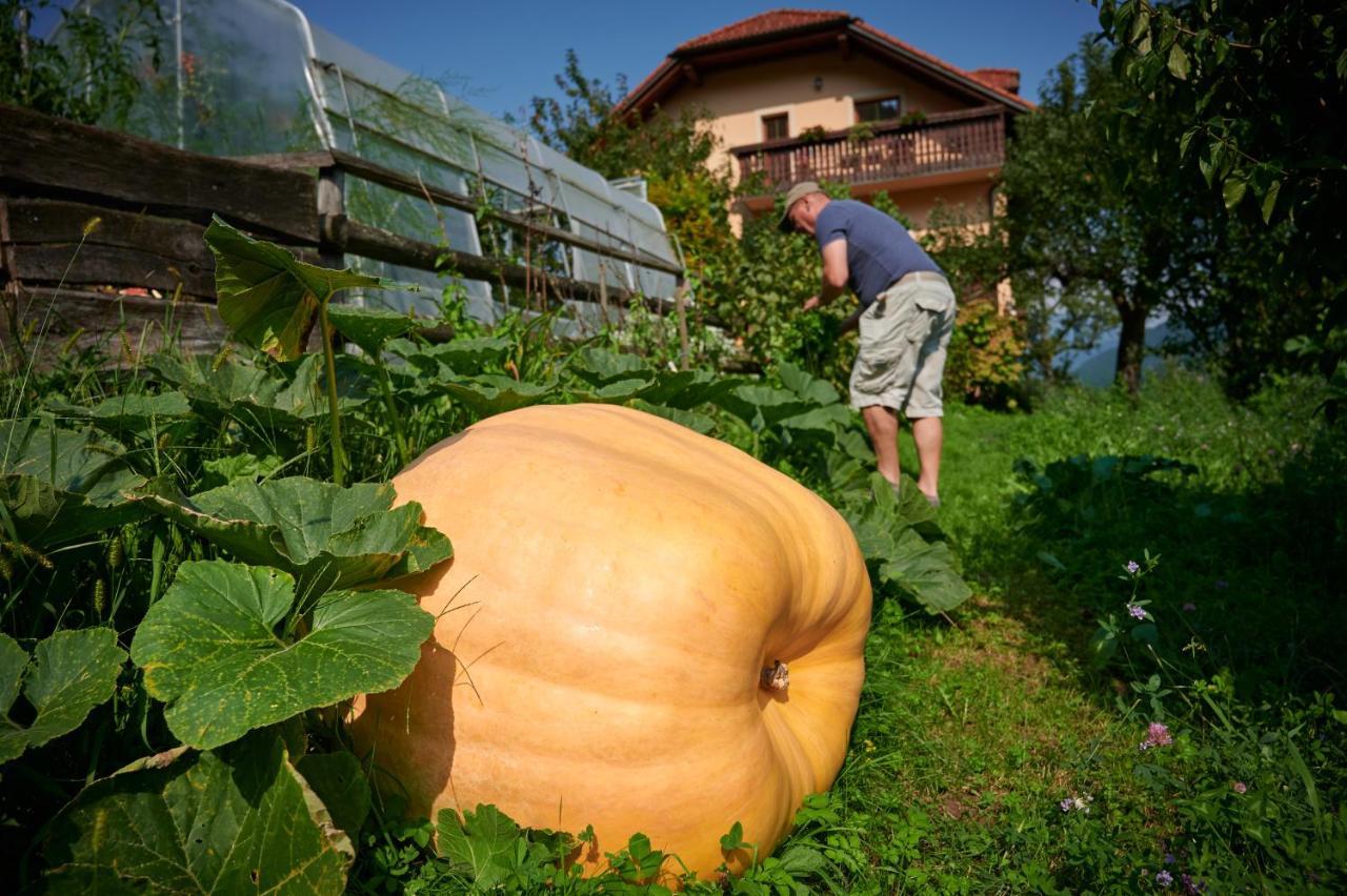 Tourist Farm Kolar Villa Ljubno ภายนอก รูปภาพ