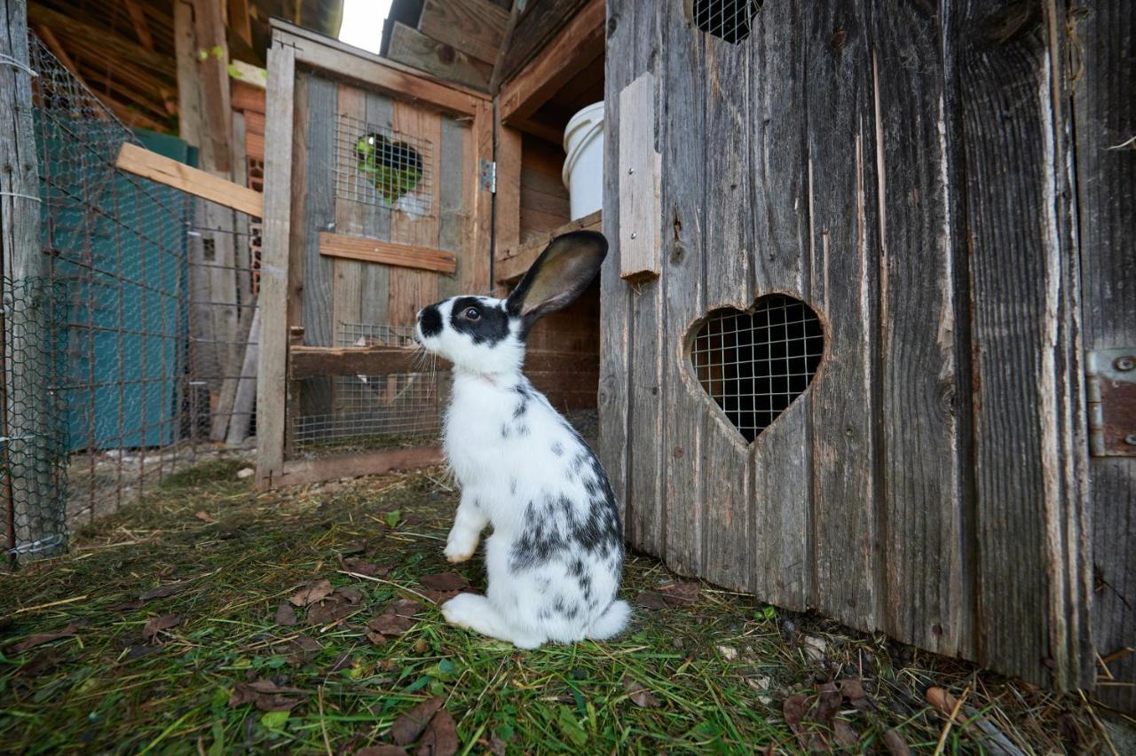 Tourist Farm Kolar Villa Ljubno ภายนอก รูปภาพ