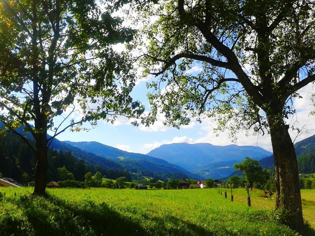 Tourist Farm Kolar Villa Ljubno ภายนอก รูปภาพ