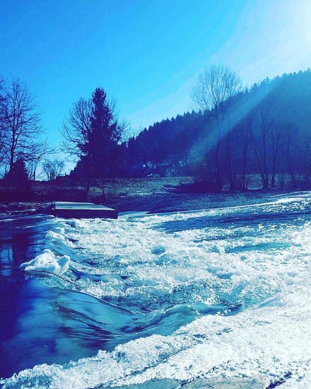 Tourist Farm Kolar Villa Ljubno ภายนอก รูปภาพ